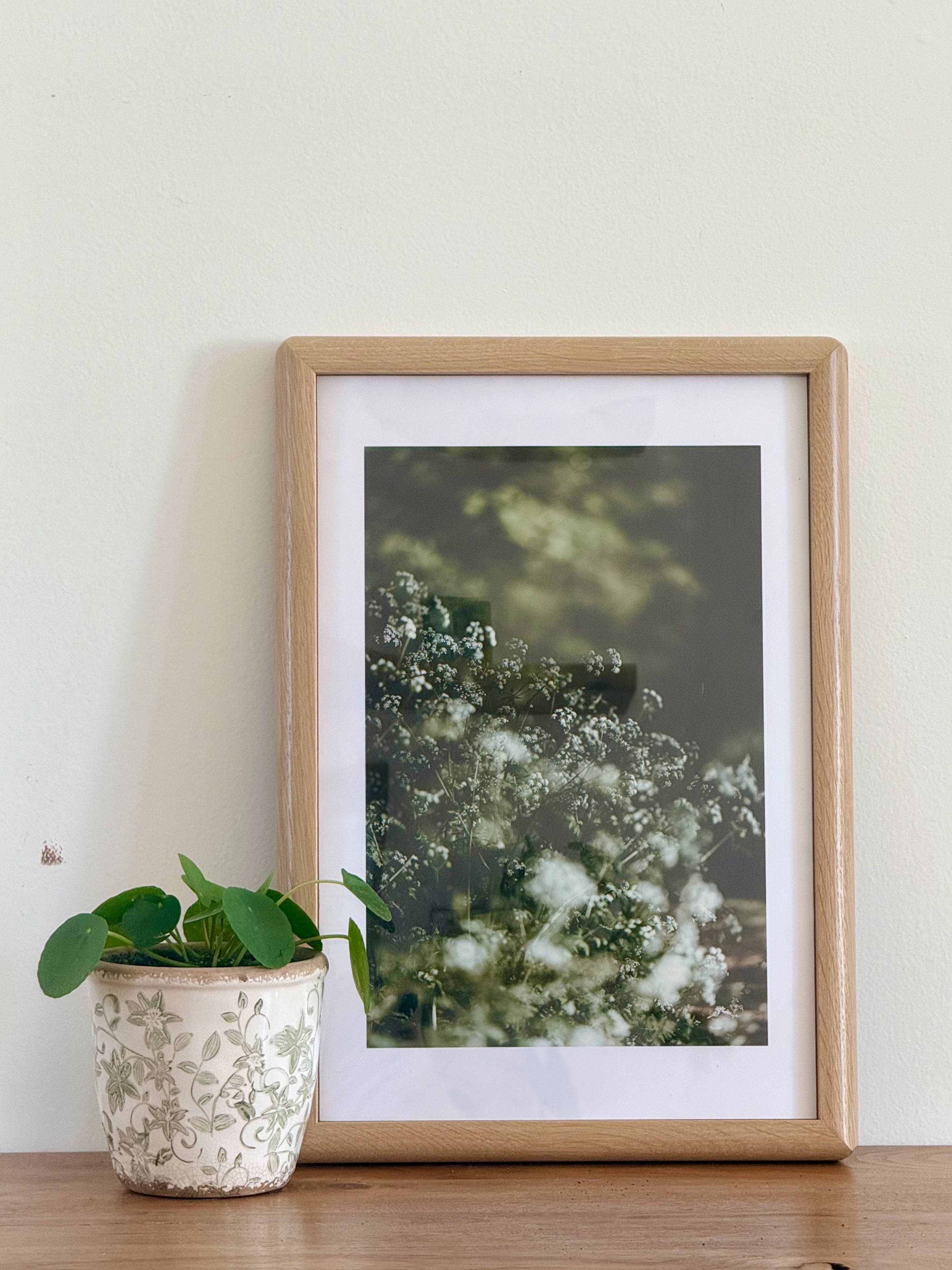 The "Rounded" Frame