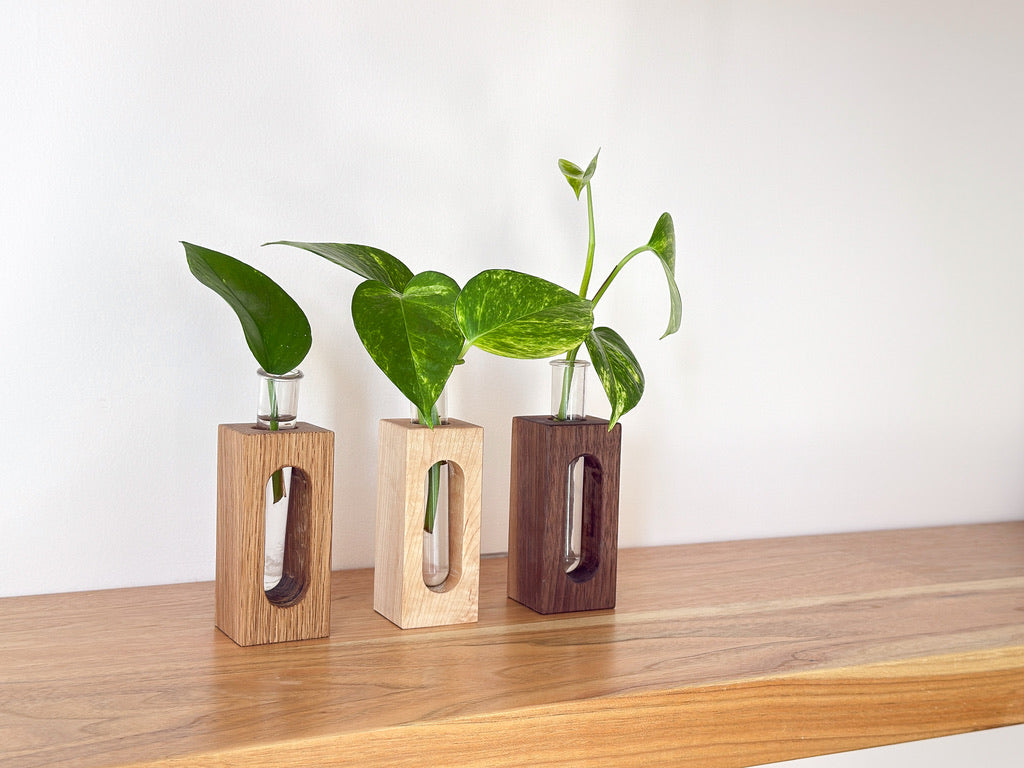 Wooden Propagation & Flower Vases – Set of 3