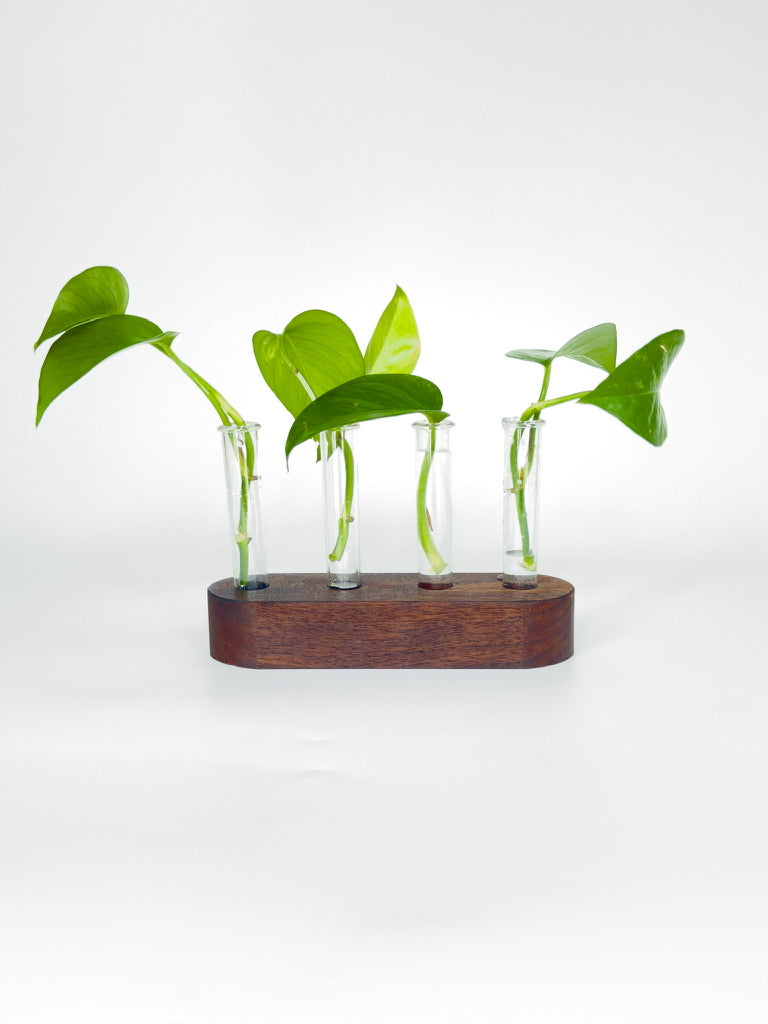 Handmade Wood Propagation Station | Modern Plant Cutting Vase