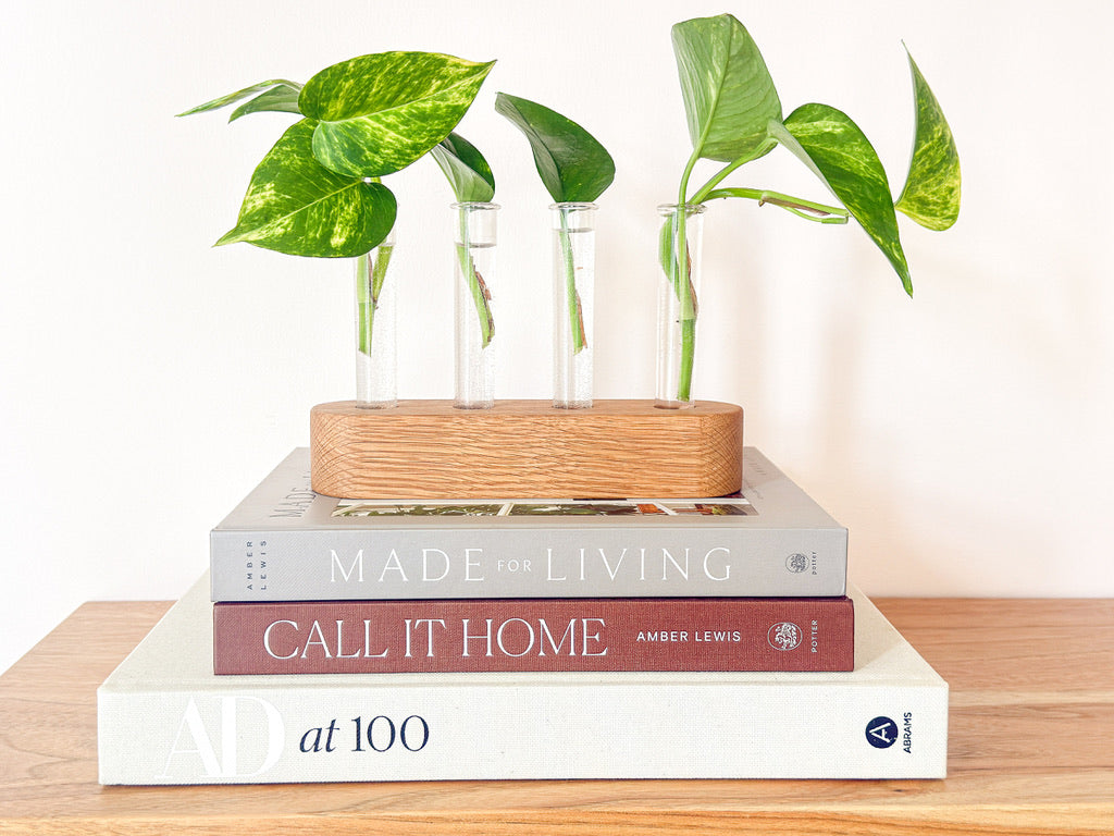 Handmade Wood Propagation Station | Modern Plant Cutting Vase