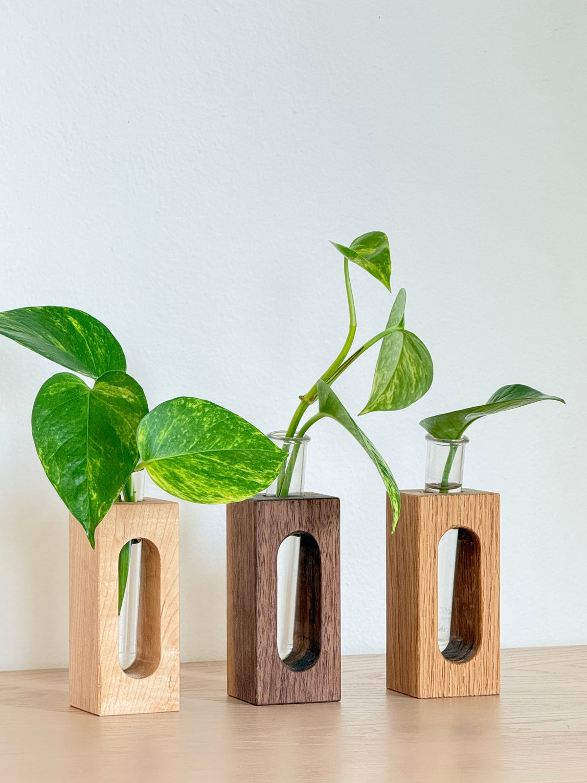 Wooden Propagation & Flower Vases – Set of 3
