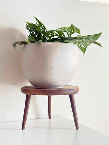 Minimal Wooden Plant Stand