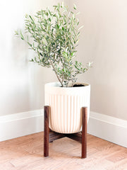 Mid-Century Wooden Plant Stand
