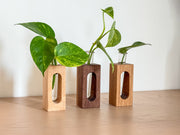 Wooden Propagation & Flower Vases – Set of 3