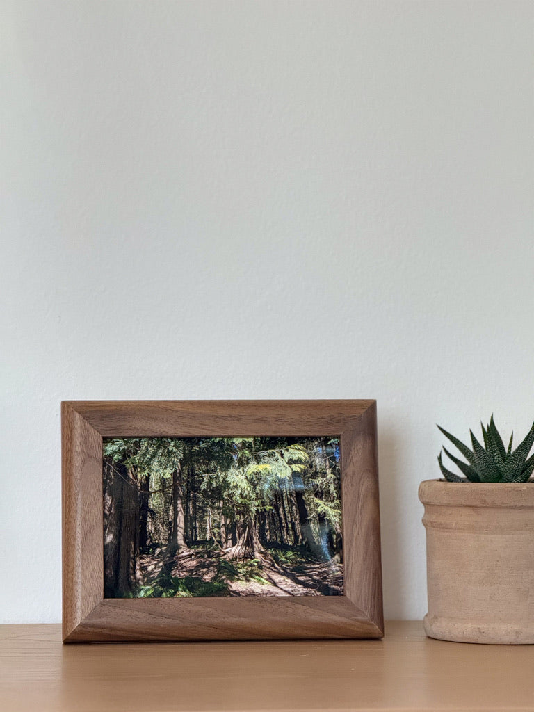 The "Classic" Frame