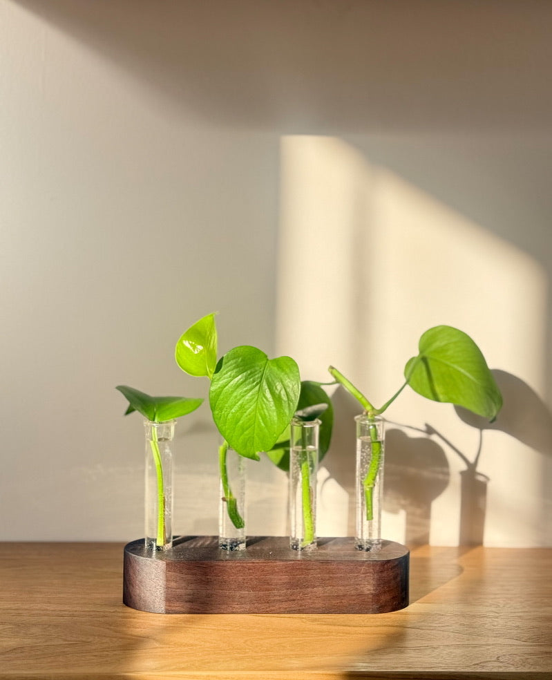 Handmade Wood Propagation Station | Modern Plant Cutting Vase