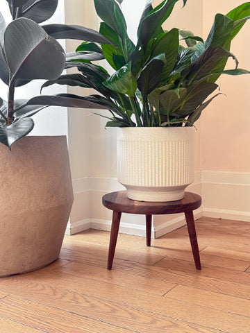 Minimal Wooden Plant Stand