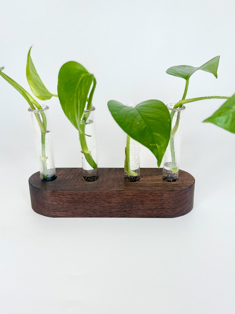 Handmade Wood Propagation Station | Modern Plant Cutting Vase