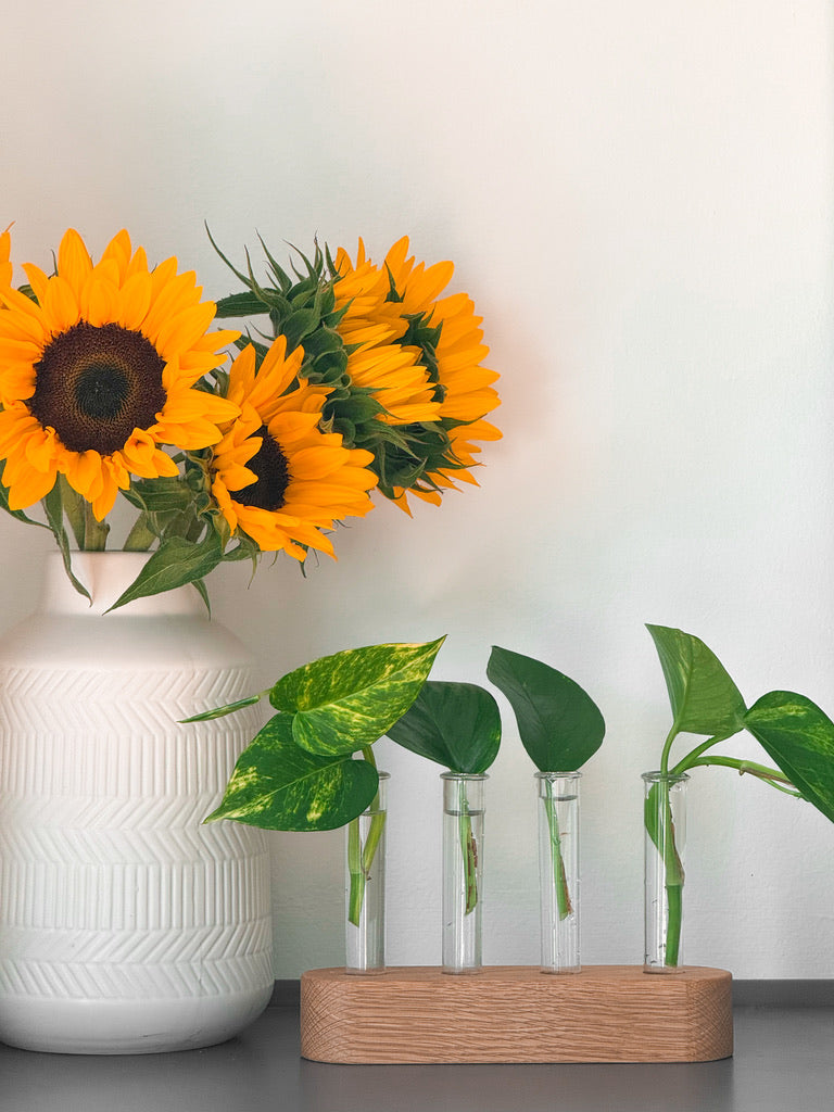 Handmade Wood Propagation Station | Modern Plant Cutting Vase