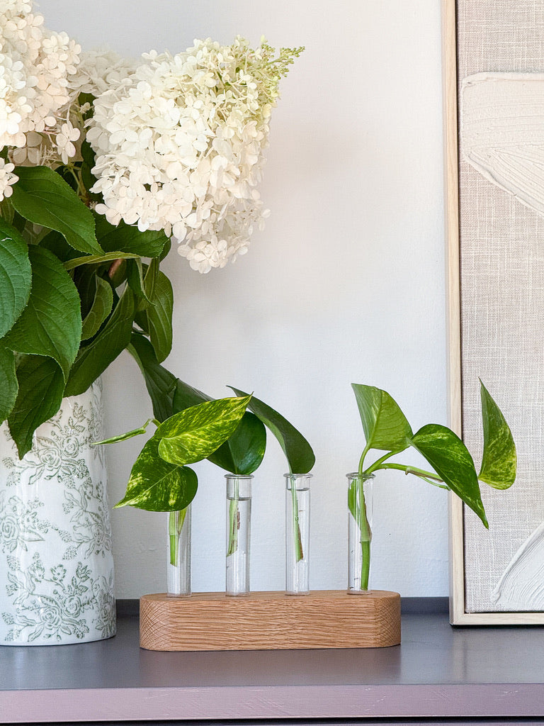Handmade Wood Propagation Station | Modern Plant Cutting Vase