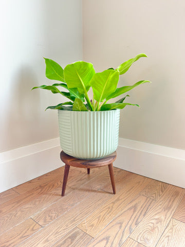 Minimal Wooden Plant Stand