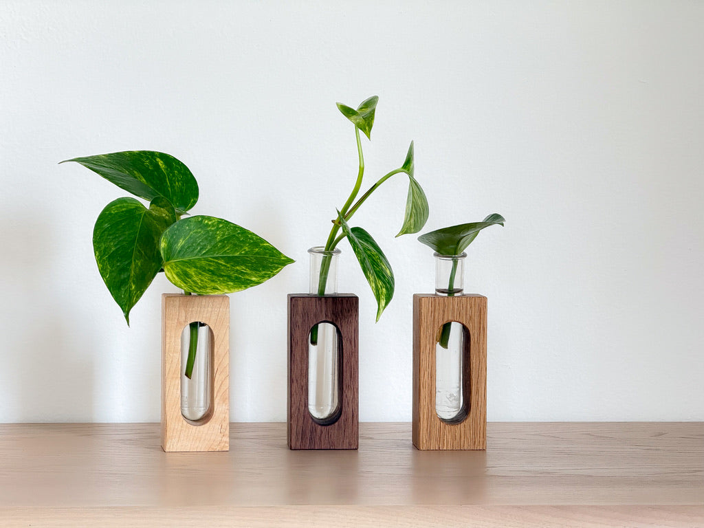 Wooden Propagation & Flower Vases – Set of 3