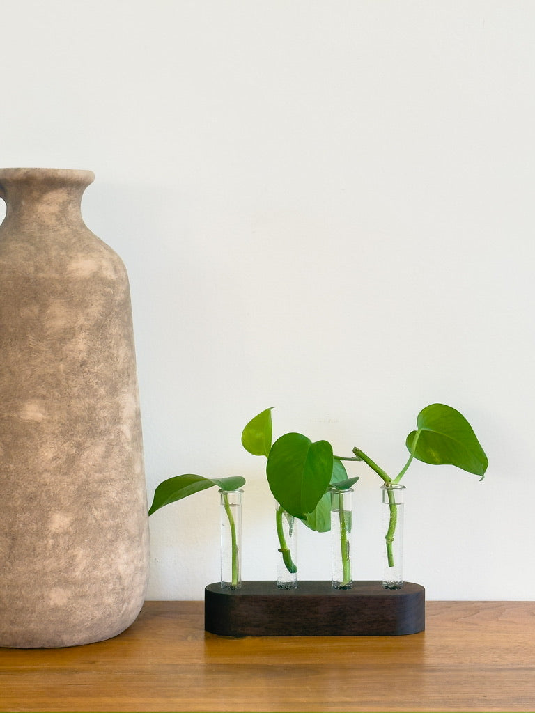Handmade Wood Propagation Station | Modern Plant Cutting Vase