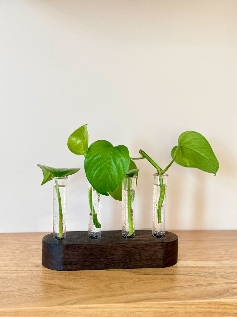 Handmade Wood Propagation Station | Modern Plant Cutting Vase