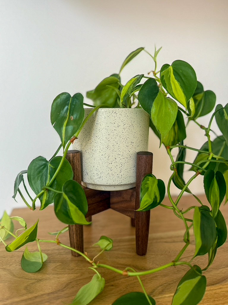 Mid-Century Modern Plant Stand