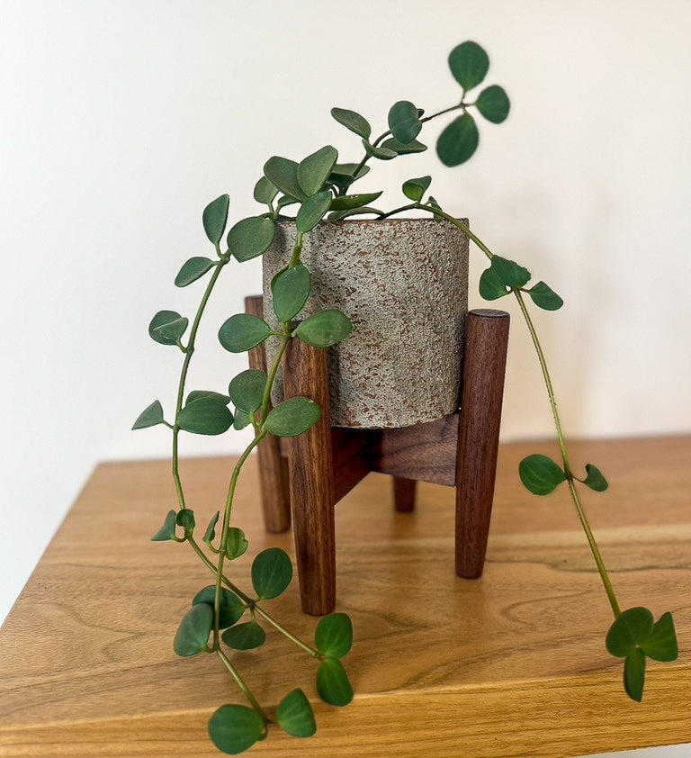 Mid-Century Modern Plant Stand