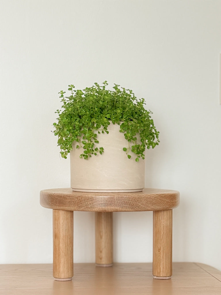 Cylindrical Tripod Plant Stand