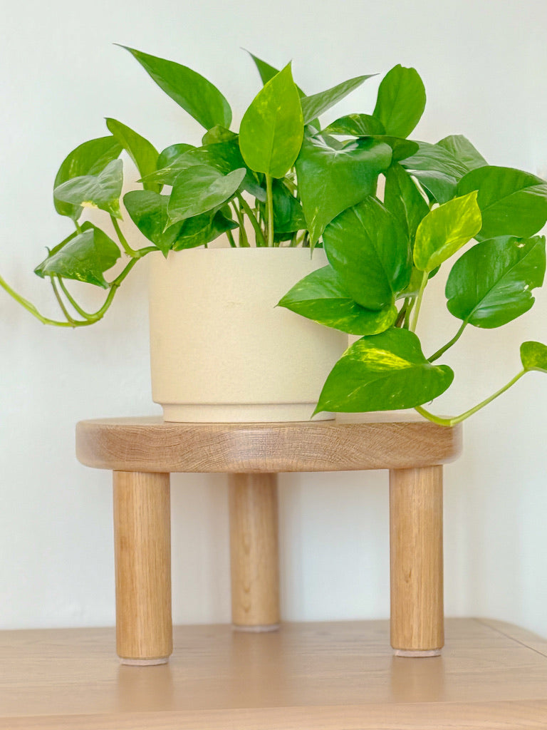 Cylindrical Tripod Plant Stand