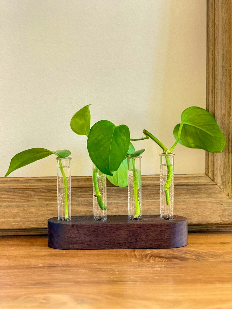 Handmade Wood Propagation Station | Modern Plant Cutting Vase