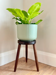 Sculptural Tripod Plant Stand