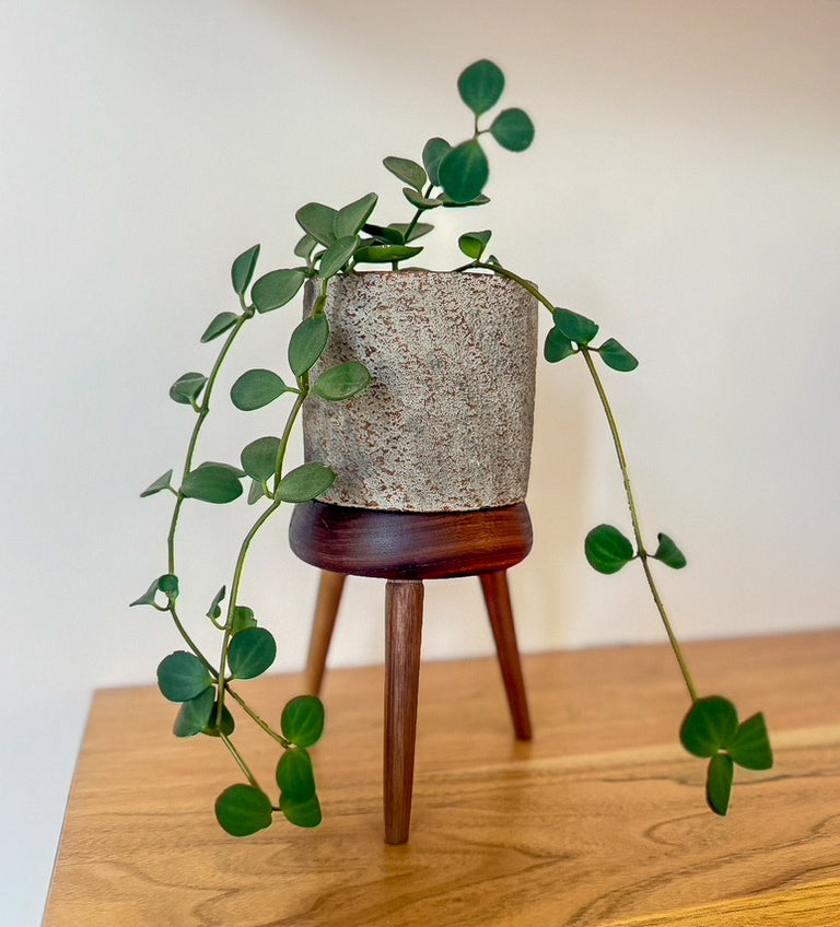 Pedestal Plant Stand