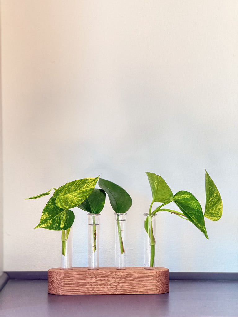 Handmade Wood Propagation Station | Modern Plant Cutting Vase