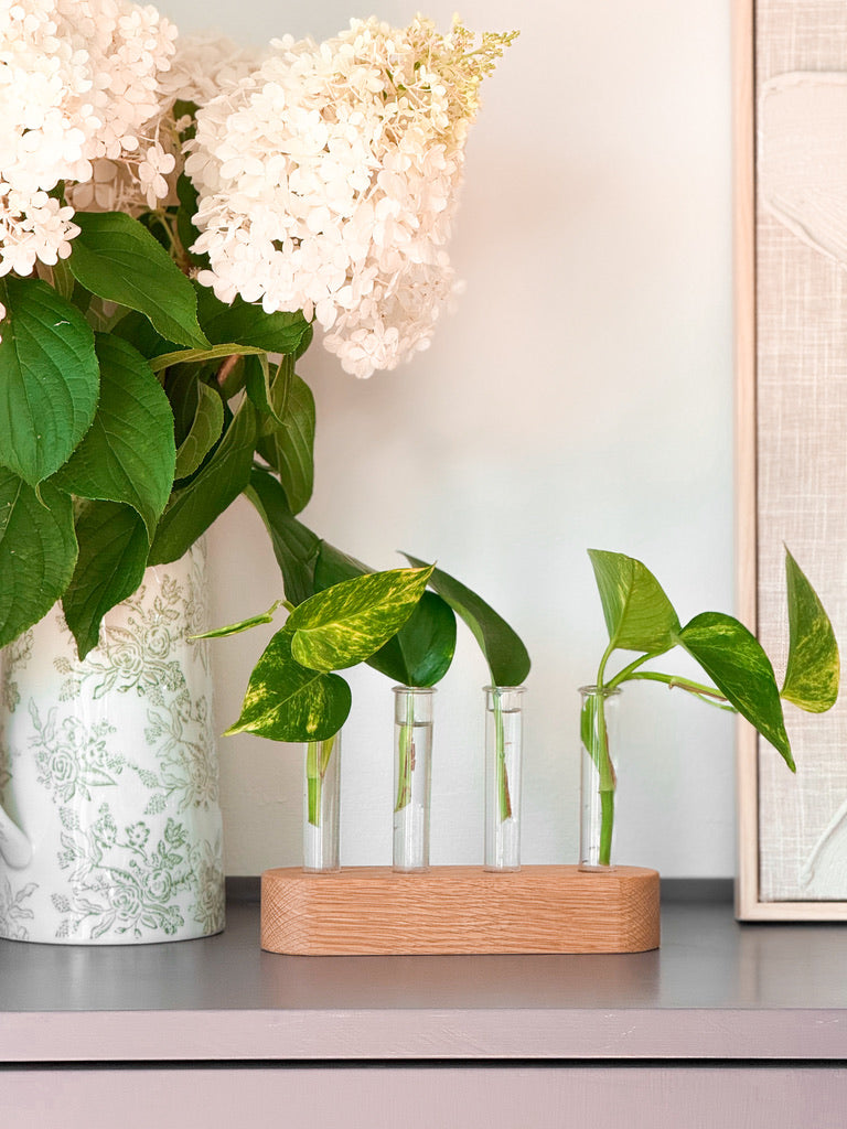 Handmade Wood Propagation Station | Modern Plant Cutting Vase