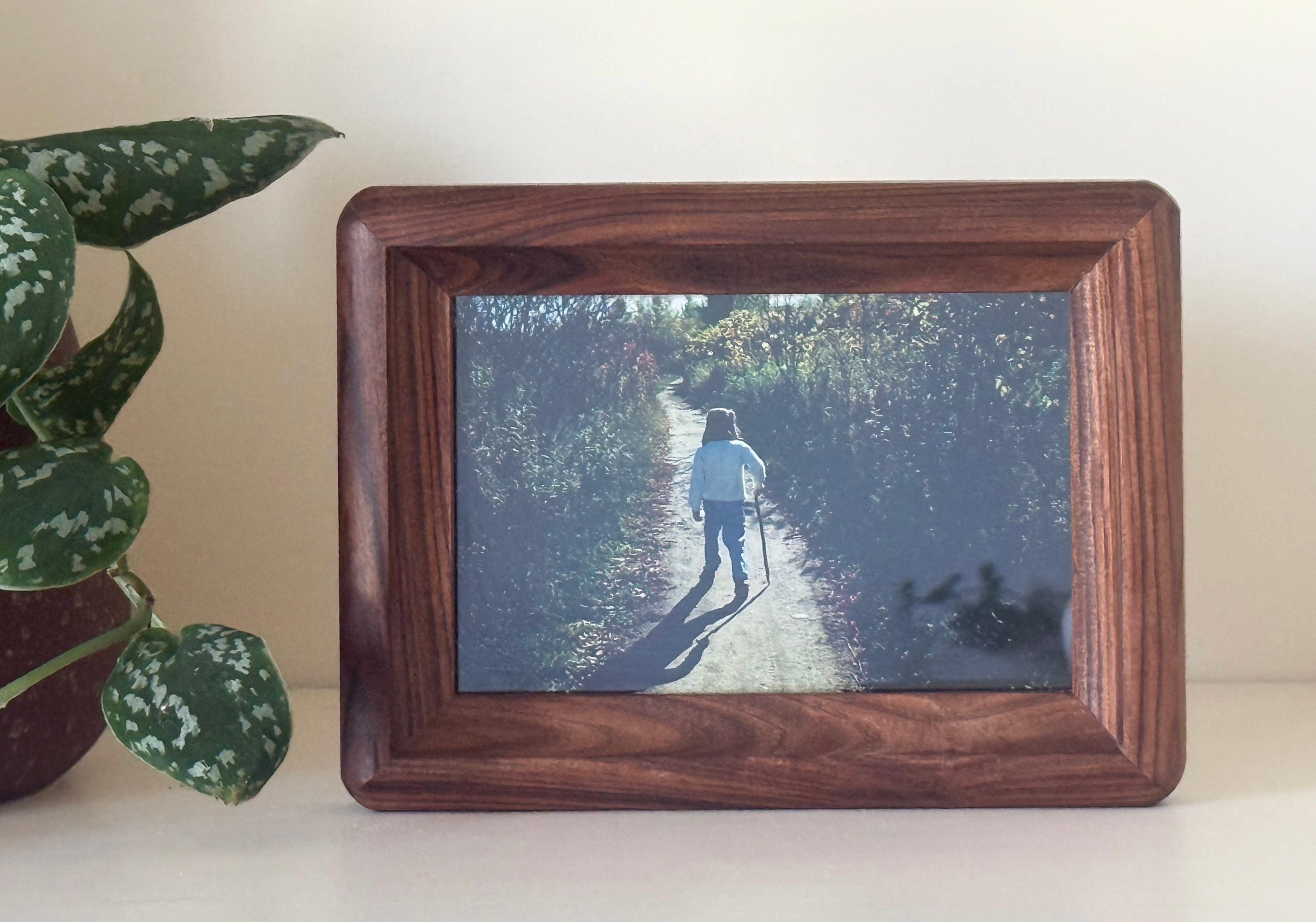 The "Cove" Frame