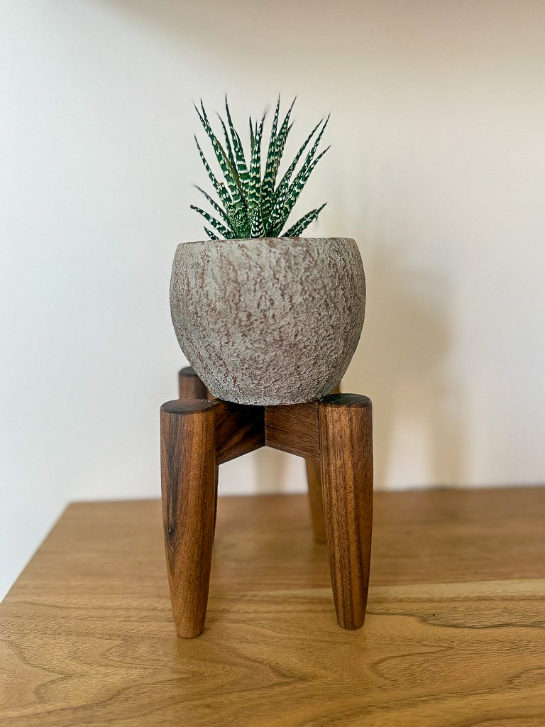 Cross-Leg Plant Stand