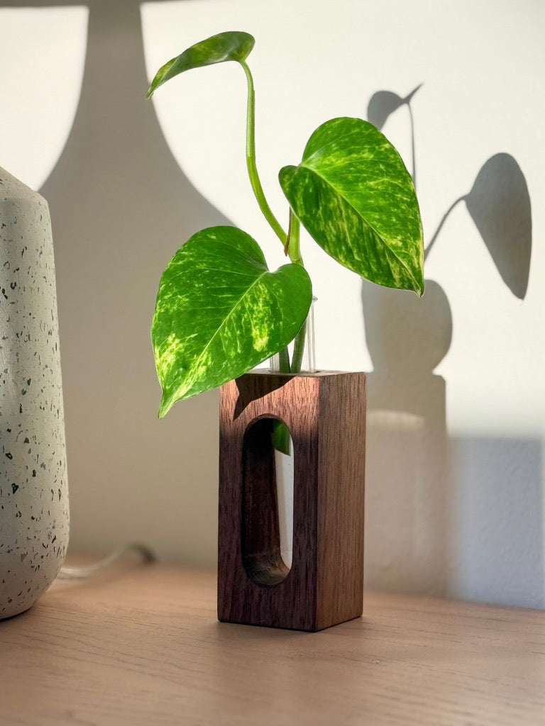 Wooden Propagation & Flower Vases – Set of 3