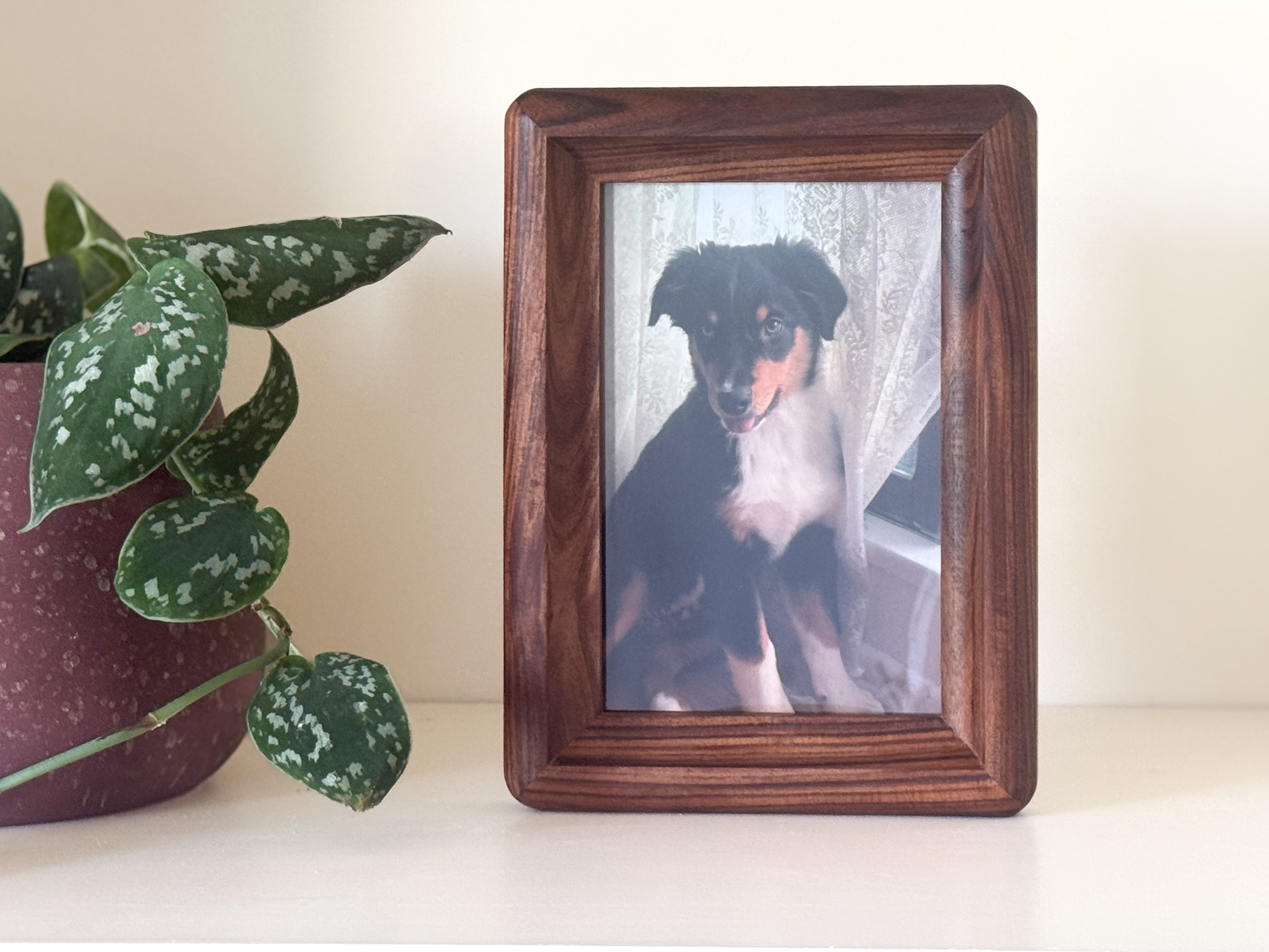 The "Cove" Frame