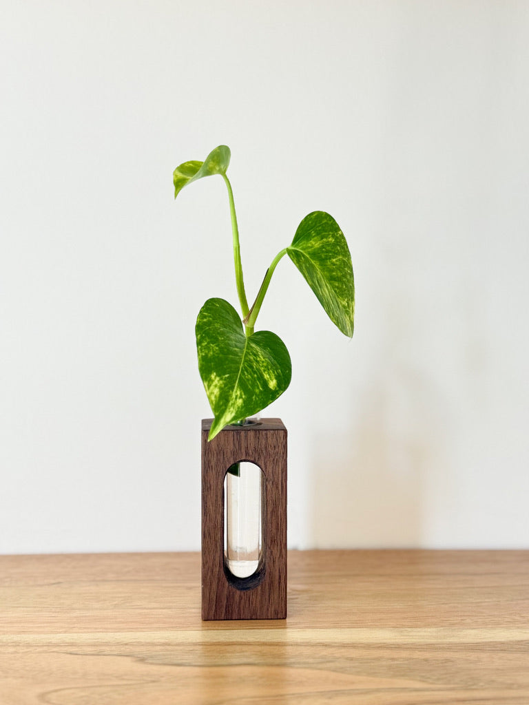 Wooden Propagation & Flower Vases – Set of 3