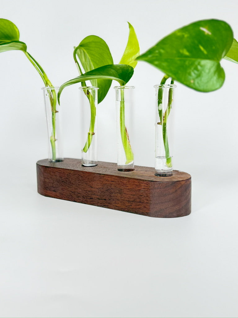Handmade Wood Propagation Station | Modern Plant Cutting Vase