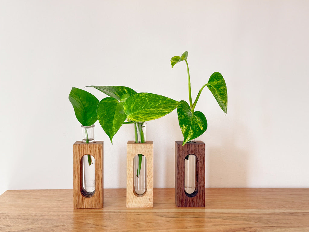 Wooden Propagation & Flower Vases – Set of 3