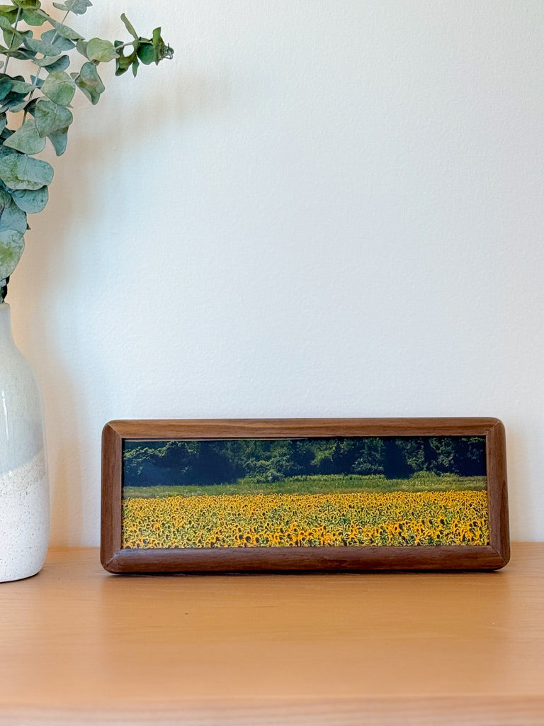 The "Rounded" Frame