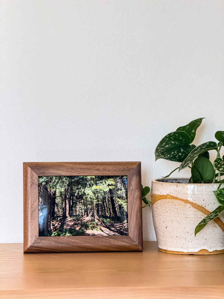 The "Classic" Frame