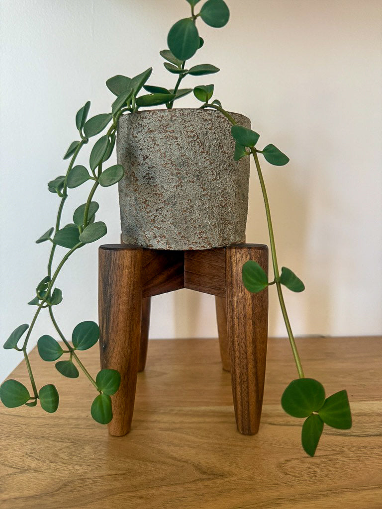 Cross-Leg Plant Stand