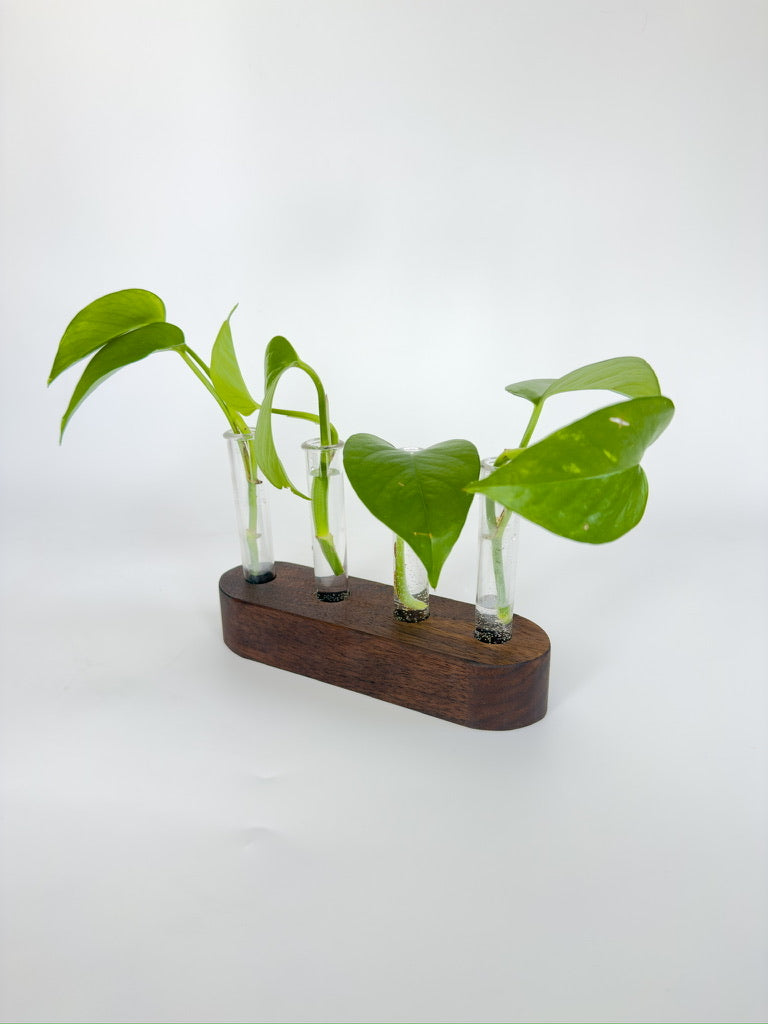 Handmade Wood Propagation Station | Modern Plant Cutting Vase