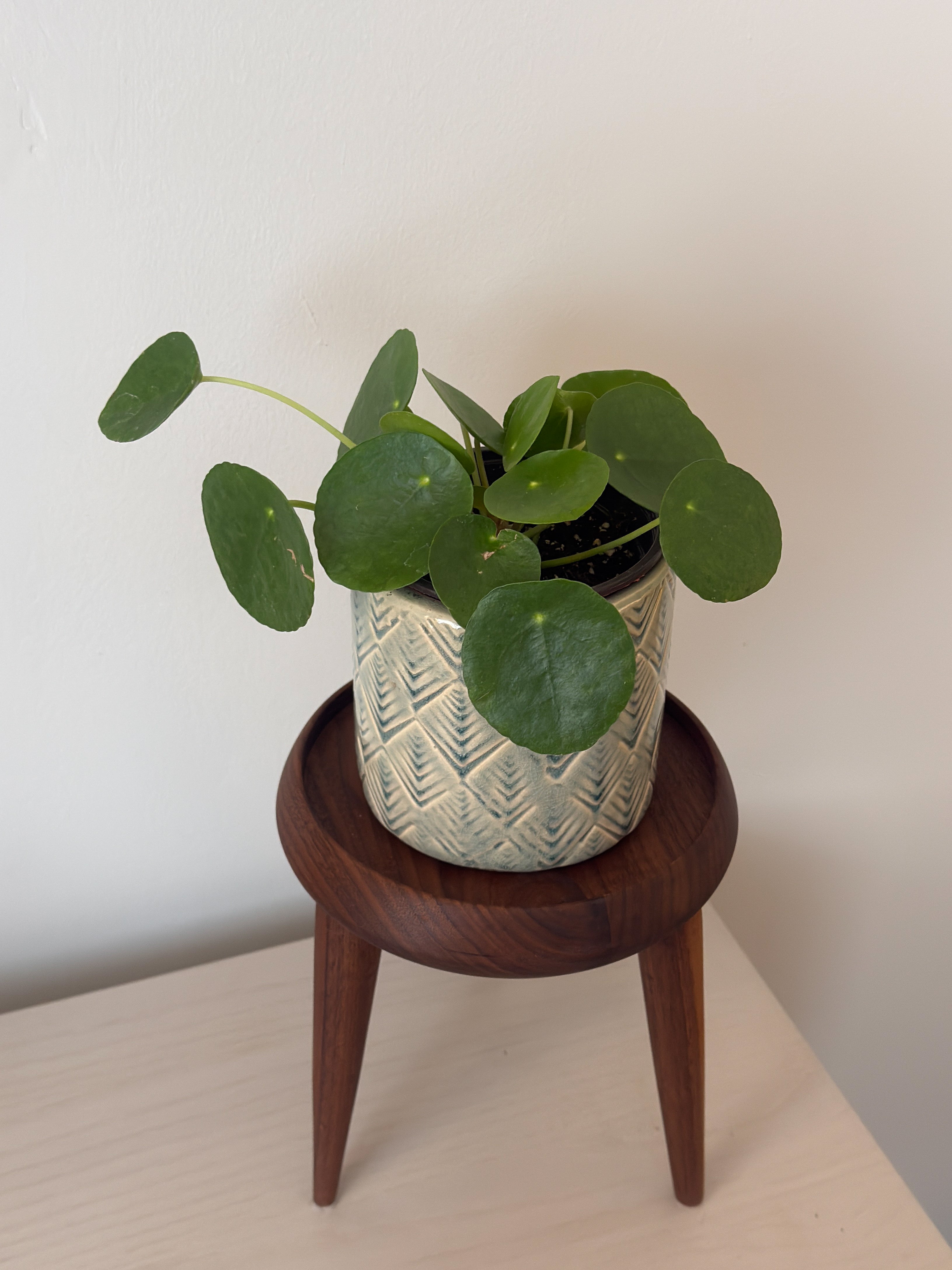 Turned Tripod Wooden Plant Stand