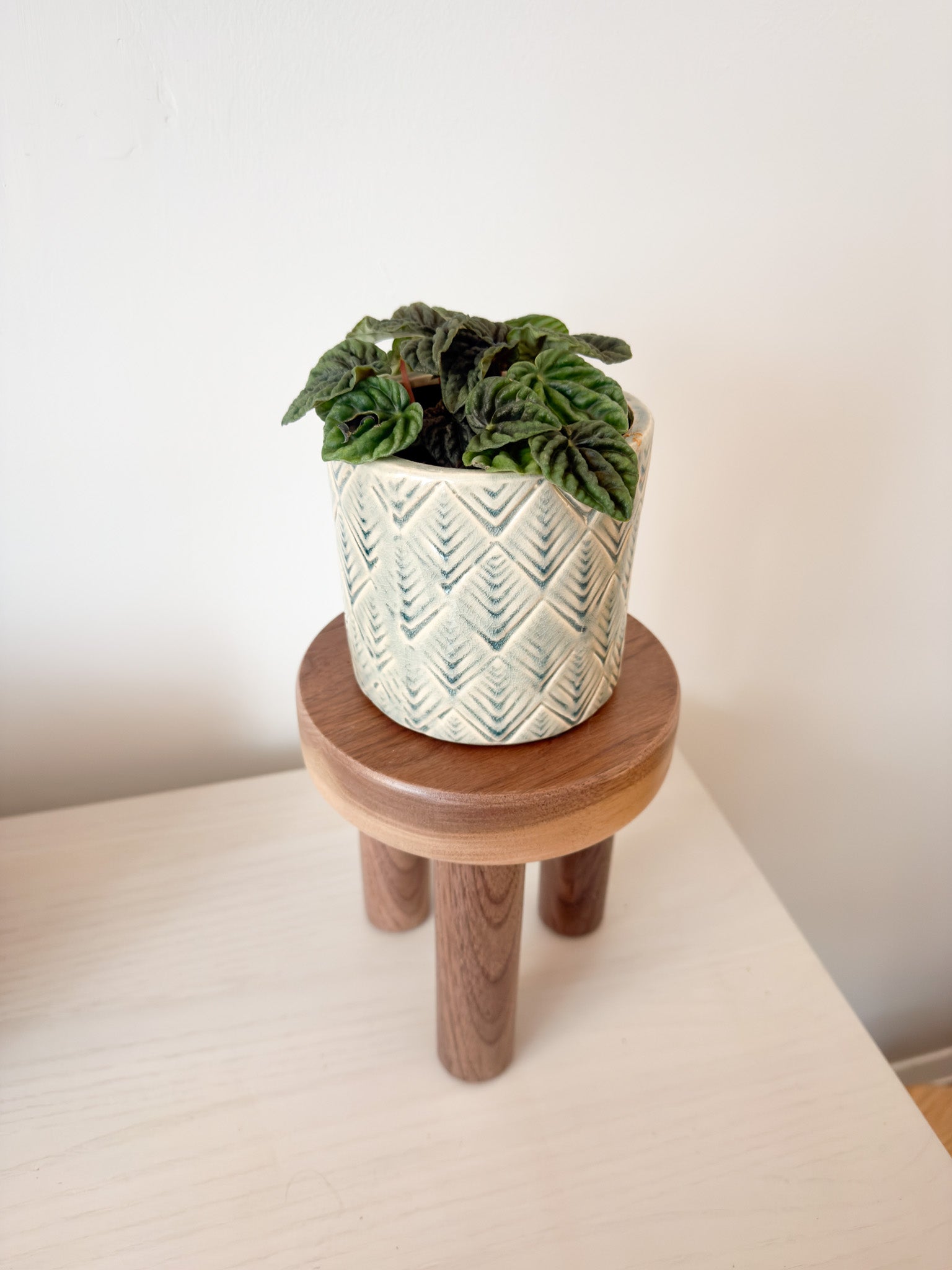 Cylindrical Tripod Plant Stand