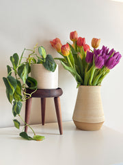 Turned Tripod Wooden Plant Stand