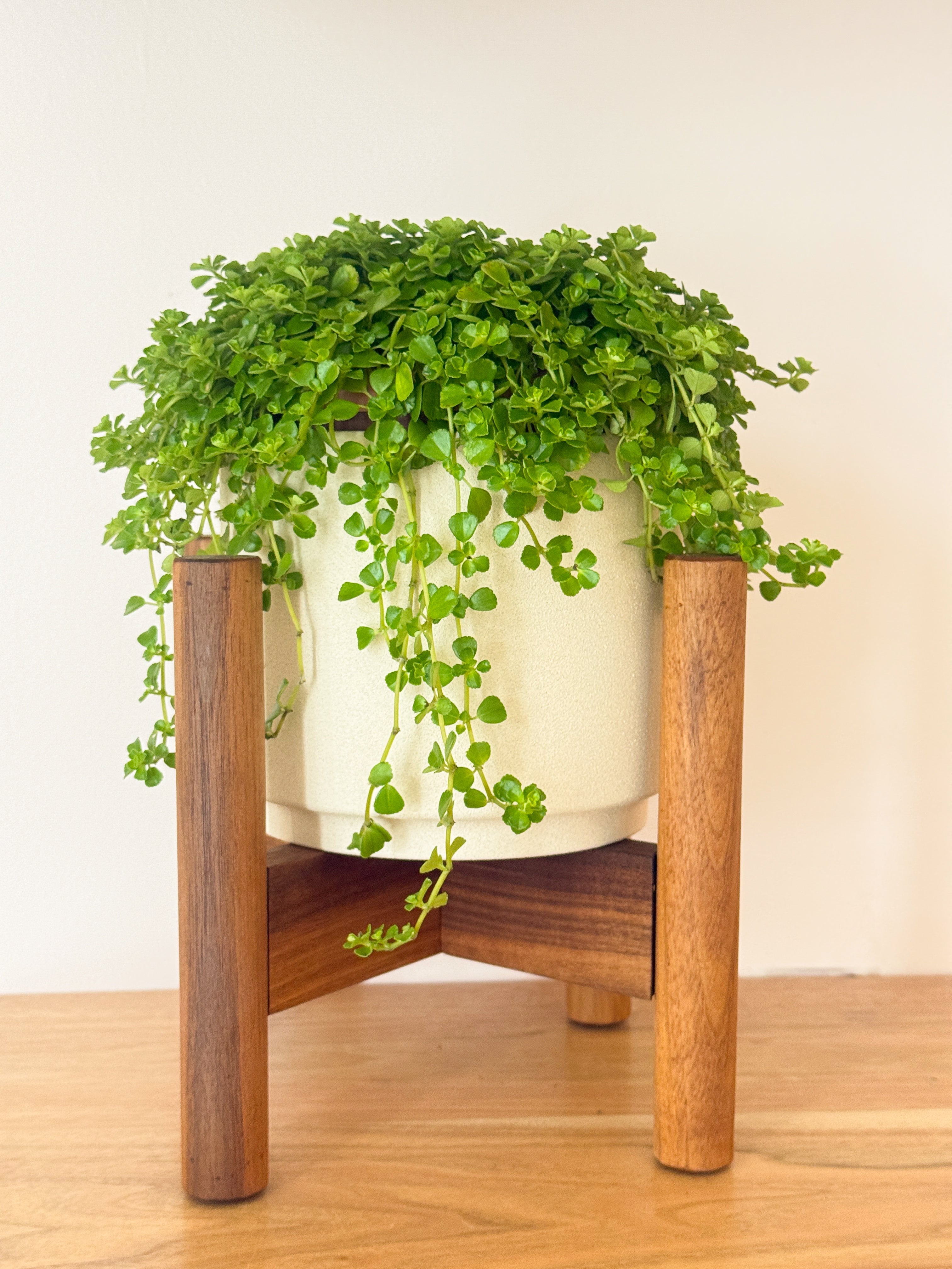 Mid-Century Wooden Plant Stand